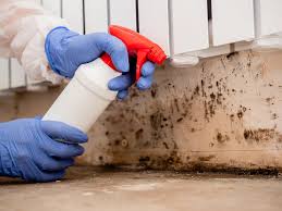 Best Mold Remediation for Healthcare Facilities  in Hidden Valley Lake, CA